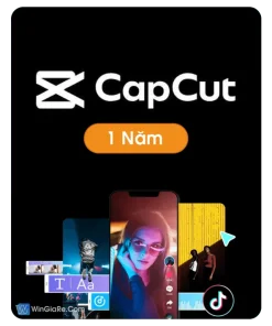 Tài Khoản CapCut Pro Giá Rẻ